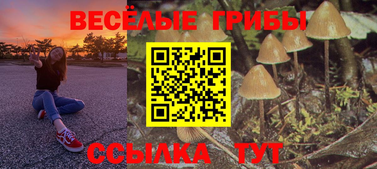 Галлюциногенные грибы мухоморы Тайшет