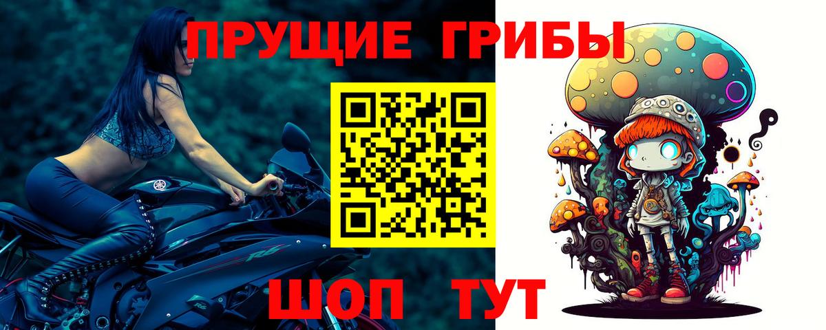 Галлюциногенные грибы Magic Shrooms  Псилоцибиновые грибы ЛСД  Тайшет  Вход с VPN 